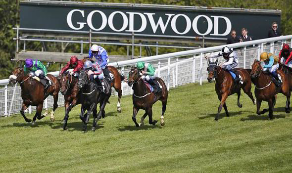 12+ Horse racing results today at goodwood best advice